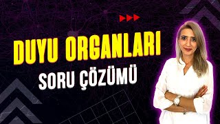 DUYU ORGANLARI 💯 SORU ÇÖZÜMÜ l Seda Hoca Biyoloji ayt2023 [upl. by Etnelav]