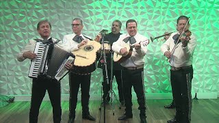 Dont miss Mariachi Viva Xalisco at Taste of Tlaquepaque [upl. by Emerson]