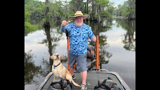 Reeling in Bream on Caddo Lake  Karnack TX [upl. by Ahsap87]