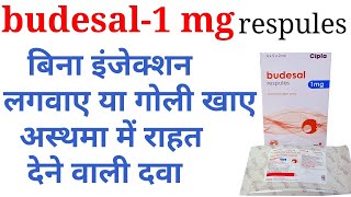 Budesal 1 mg respuleslevosalbutamol and budesonide respules uses benifits precaution in hindi [upl. by Alakcim]