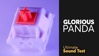 GLORIOUS PANDA Ultimate Sound Test  Thock thock thock [upl. by Hars]