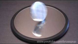 Amazing Spinning Disk [upl. by Lissy]