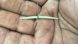 How to make a Gorge Hook from fish bones [upl. by Adnawat]