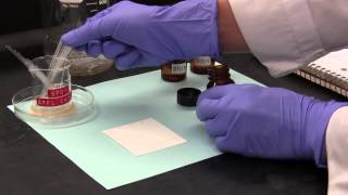 ThinLayer Chromatography TLC [upl. by Chader]