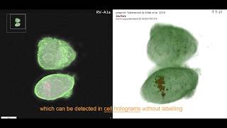 Labelfree holographic tomography reveals virusinduced cytopathic effects in live cells [upl. by Nevai722]