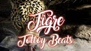 TIGRE RAP BEAT Tottoybeats [upl. by Ronnica888]