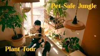 Pets amp Plants  Which of your houseplants are PETSAFE 🌱 PlantTour Petfriendly [upl. by Dloraj62]