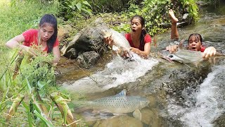 Survival in forest Catch two big fish for food Cooking fish for lunch Catch grasshopper for food [upl. by Leinadnhoj]