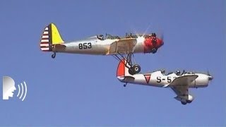 Vintage monoplane and biplane flyby [upl. by Haldeman]