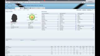 Football Manager 2011 Wonderkids Part 2 [upl. by Gnilrad]