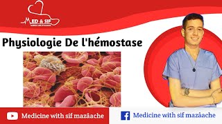 2 Physiologie de LHémostase  Physiologie 2ème MED [upl. by Zorah]