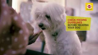 Pedigree Dentastix Commercial [upl. by Swain10]