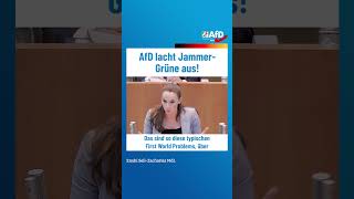 AfD lacht JammerGrüne aus afd ltnrw [upl. by Koby948]