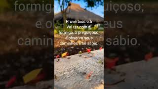 Provérbios 66 [upl. by Claudianus]