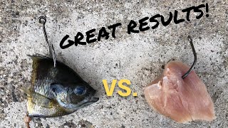 Cut Bait vs Chicken for Blue Catfish Hot Bite [upl. by Nilyaj]