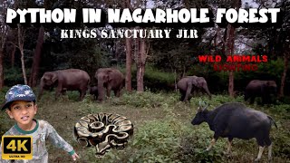 🔥Nagarahole Forest Safari  JLR Kings Sanctuary SimbaaVlogs [upl. by Cthrine]