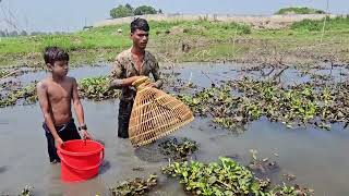 Fish HuntingAwesome fishing skillcatching big catfgish by bangladeshi fishing trap [upl. by Yadnil]