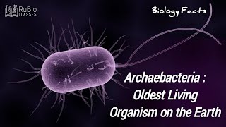 Archaebacteria  NEET  Rubio Classes [upl. by Gaylene]