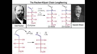 Lec10  The FischerKiliani Sugar Synthesis [upl. by Htidirem]