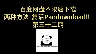 2024 两种方法复活 pandownload 百度网盘 不限速下载 批量解析 批量下载 pandownload 在线解析 三十二期 [upl. by Panther293]