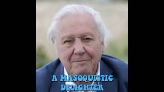 David Attenborough AI on the Human Mind 01 davidattenborough ai humanmind mindfulness [upl. by Ayotel]