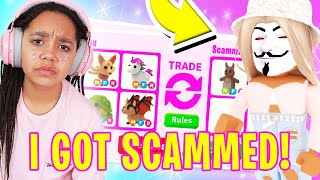 Can I CATCH THE SCAMMER Who STOLE MY MEGA DREAM PETS In Adopt Me Roblox [upl. by Hnahk107]