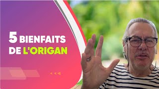 5 Bienfaits De LOrigan [upl. by Auqemahs727]