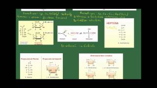 Biología 2 Bachillerato Tema 2 Los glúcidos Apartado 2 Los monosacáridos [upl. by Ettelrac]