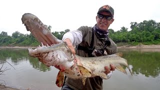 Searching for Giant Alligator Gar in Texas  ft LakeForkGuy [upl. by Airdnek]