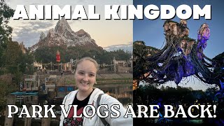 PARK VLOGS ARE BACK Animal Kingdom Evening Vlog [upl. by Ydnec]