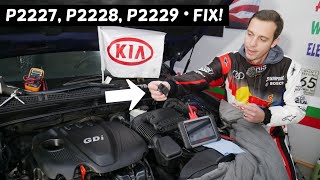 KIA CODE P2227 P2228 P2229 FIX KIA OPTIMA FORTE SORENTO SOUL SPORTAGE RIO [upl. by Ecinahs]