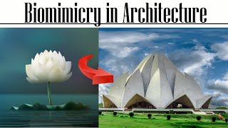 Biomimicry in Architecture [upl. by Cyndi]