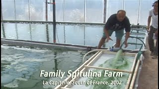 Family Spirulina Algae Farm in France • 2002 [upl. by Anaidni]