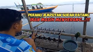 MANTAP ❗❗ Mancing Kali Ini sampai detik terakhir pun Dapat Banyak Ikan Nila Besar besar [upl. by Notaek]