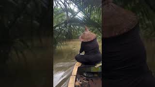 Exploring the Majestic Mekong Delta Scenic River Cruise Adventure [upl. by Sabian190]