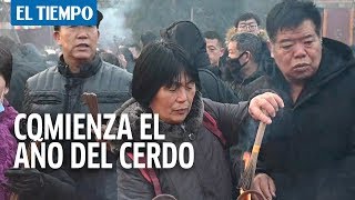 Pekín celebra el año nuevo chino el año del cerdo I EL TIEMPO [upl. by Landers776]