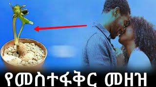 Ethiopia  መስተፋቅር መዘዝ  yefikir ketero  የፍቅር ቀጠሮ  yefikir Tarik  የፍቅር ታሪክ  New Ethiopian 2020 [upl. by Ardnaz]