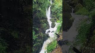 Stock Ghyll Force Waterfall asmr Ambleside Lake District UK waterfall asmr lakedistrict [upl. by Susej]