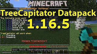 TreeCapitator Datapack 1165 for Minecraft Spotlight  Download Installation and Gameplay [upl. by Gine363]