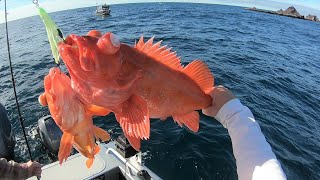 FIRST TIME Driving to FARALLON ISLANDS  Rockfish Lingcod Fishing [upl. by Nytsuj657]