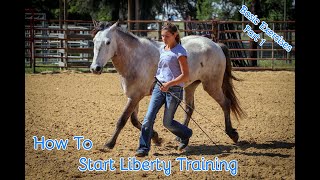 How To Start Liberty Training With Your Horse Basic Exercises Part 1 [upl. by Onairda880]