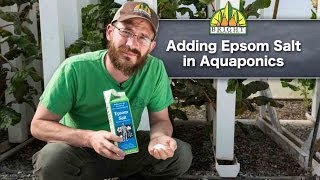 Adding Epsom Salt to Aquaponics Systems [upl. by Weissberg]