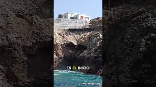 ISLAS BALLESTAS Part 1 🌊✨🐧 perú ica paracas islasballestas [upl. by Eltsyrhc]