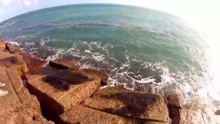 Boca Chica Beach Jetties Tarpon [upl. by Bessie]