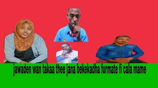 🛑jawaden wan taaka te bekadhaa furmate fi mame cala [upl. by Arela38]