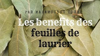 Les benefits des feuilles de laurier par Mahamoudou Toure Dit Habbatou Saouda [upl. by Lyndel]