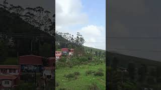 Tea Hills Road Trip Experience Ooty’s Natural Beauty Like Never Before 🏞️🌳 roadtrip near bangalore [upl. by Anna-Diana918]