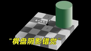 眼见一定为实？欺骗眼睛的“棋盘阴影错觉”了解一下 [upl. by Dnomal]