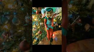 Our elf has some moves [upl. by Ernald]