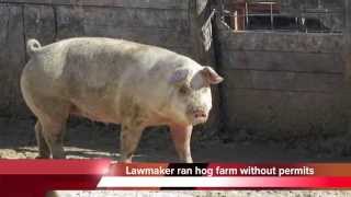 TN Rep Andy Holt operated hog farm illegally for years [upl. by Drucilla]